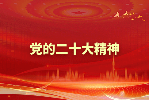党的二十大心灵