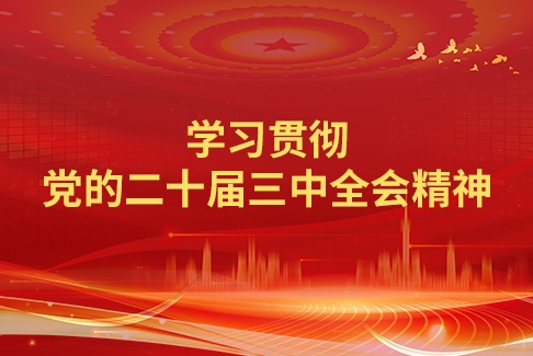进建贯彻党的二十届三中全会心灵